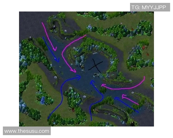 V5战队区域防守策略分析及其在比赛中的成效探讨