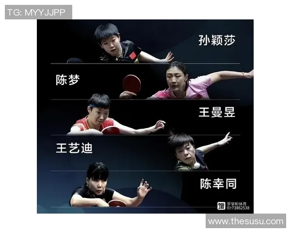 武汉乒乓球队领跑最新乒乓球速度TOP10榜单引发关注与热议
